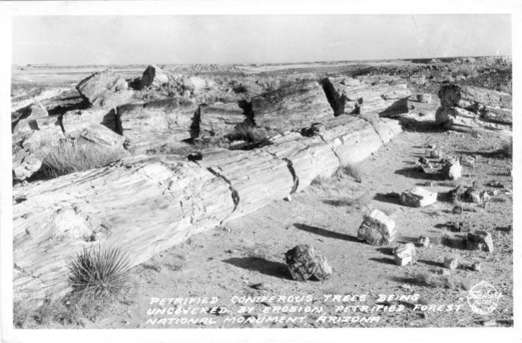 AZ013400.jpg