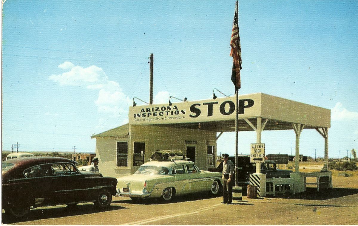 AZ025800.jpg