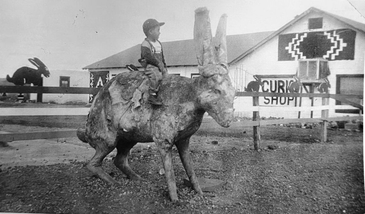 AZ026240.jpg