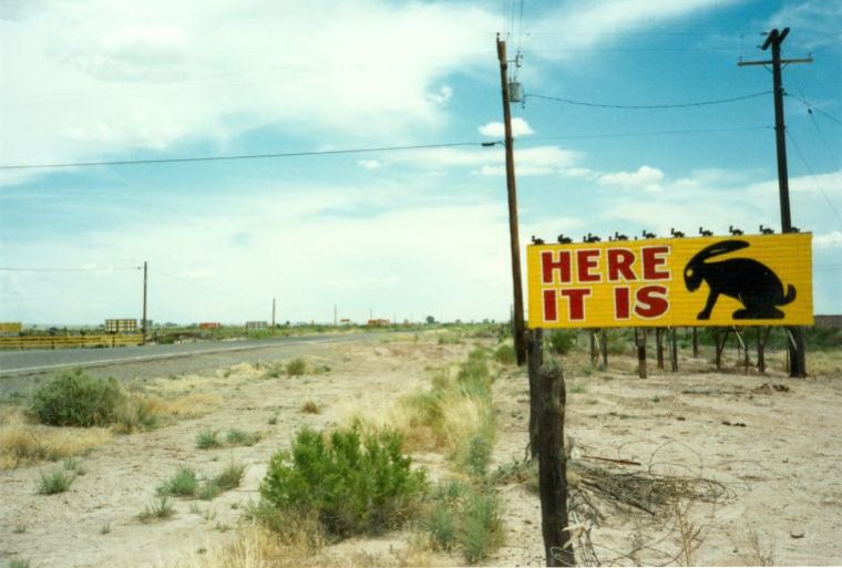 AZ026500.jpg