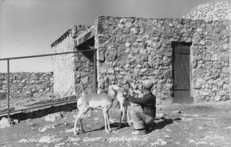 AZ039640.jpg
