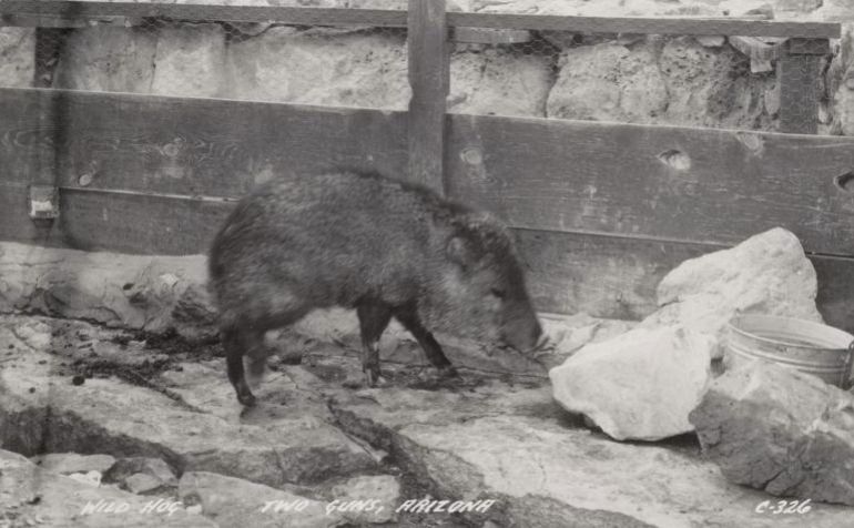 AZ039720.jpg