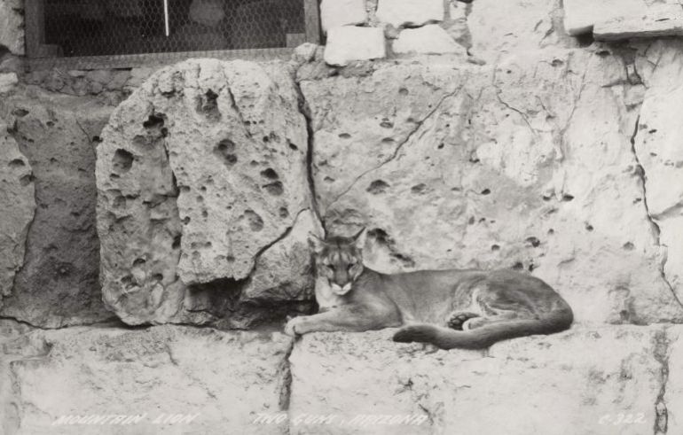 AZ039800.jpg