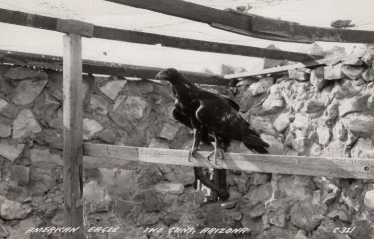 AZ039880.jpg