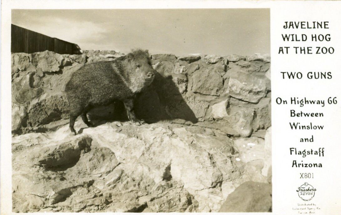 AZ039960.jpg