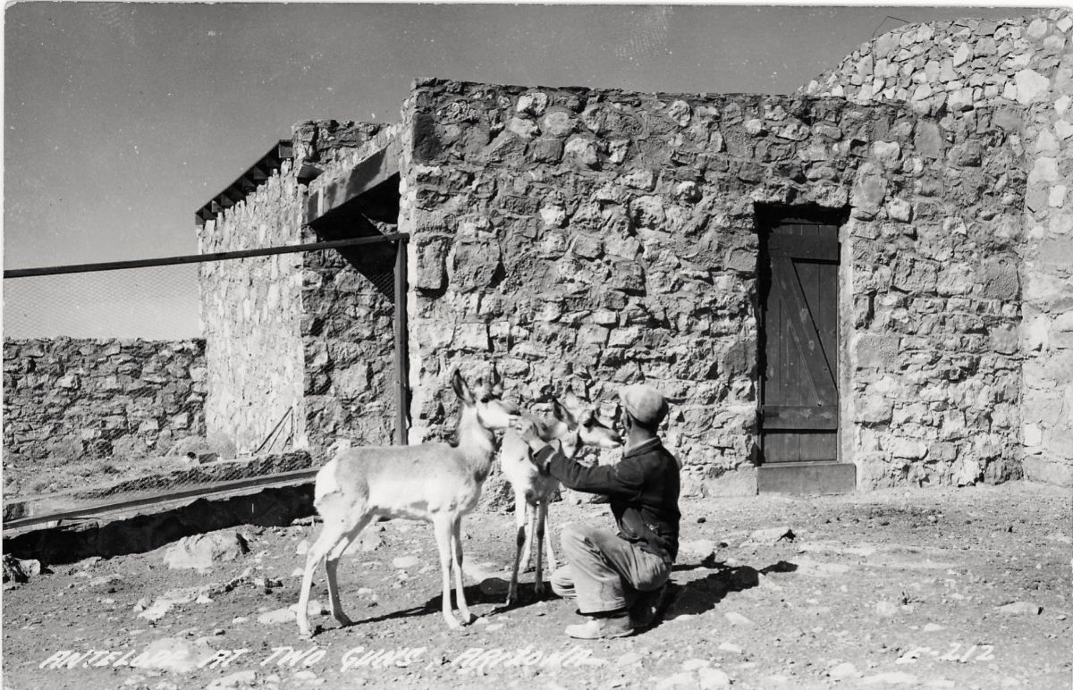 AZ039965.jpg
