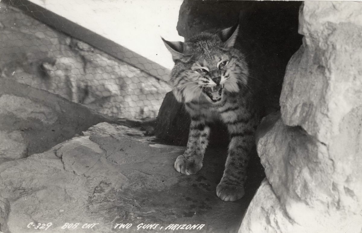 AZ039970.jpg