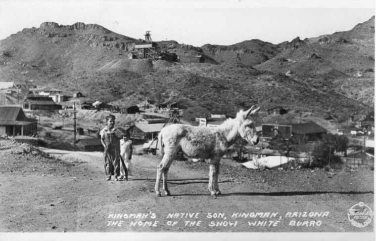 AZ094720.jpg