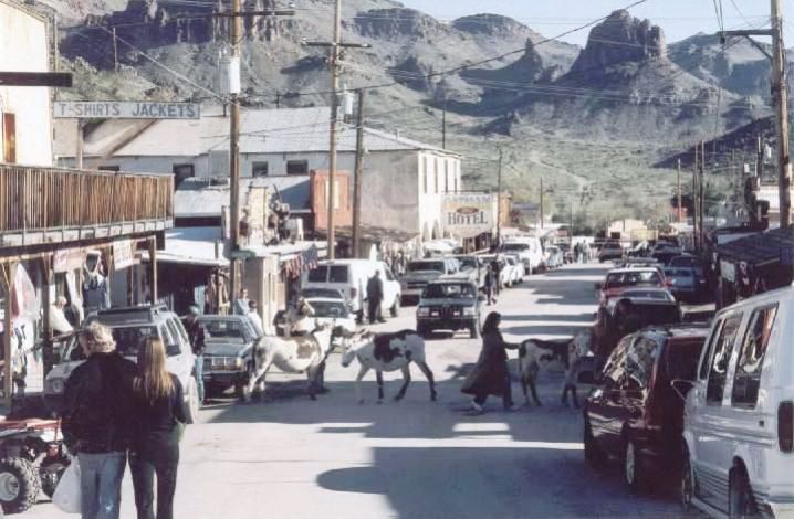 AZ095560.jpg