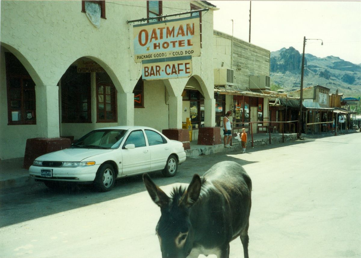 AZ095640.jpg