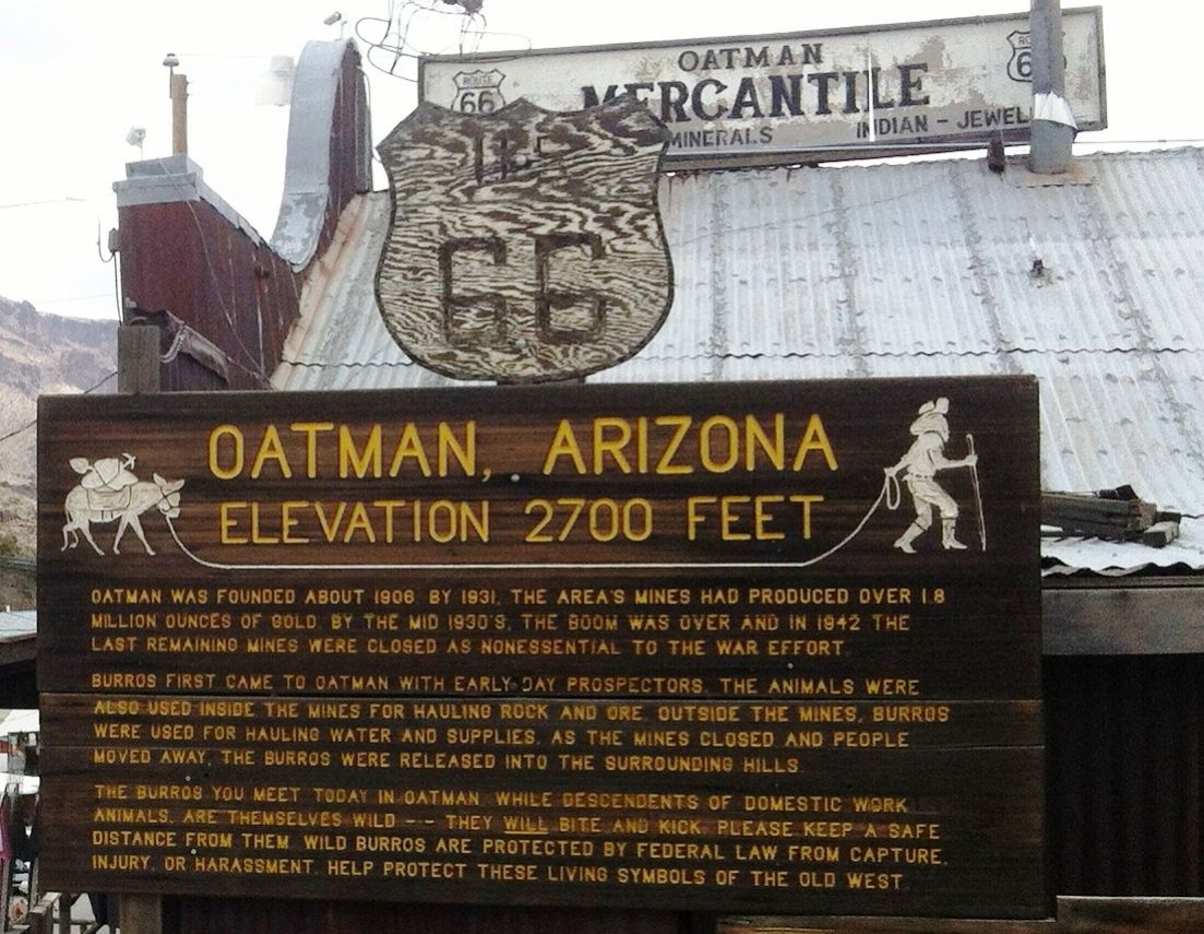 AZ095820.jpg