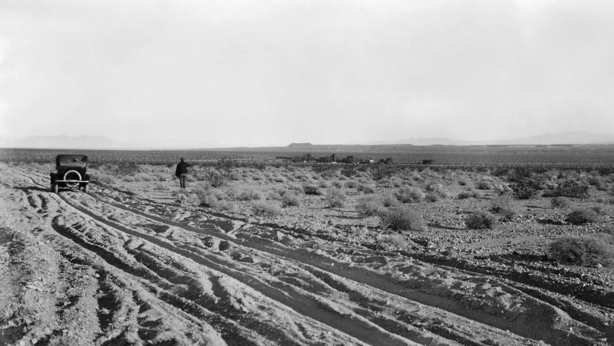 CAA37770.jpg