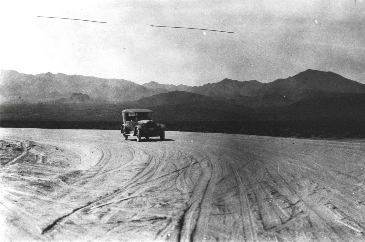 CAA52055.jpg