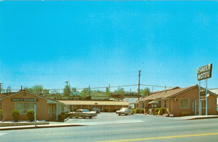 CAA83250.jpg
