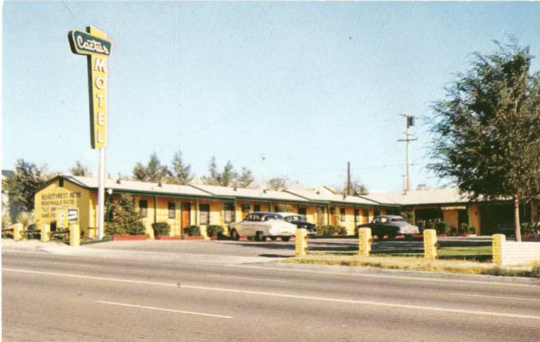 CAA84250.jpg
