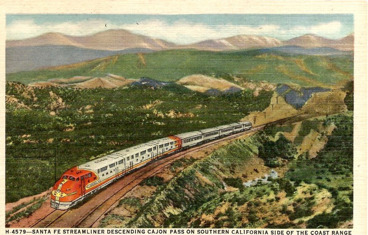 CAC22260.jpg