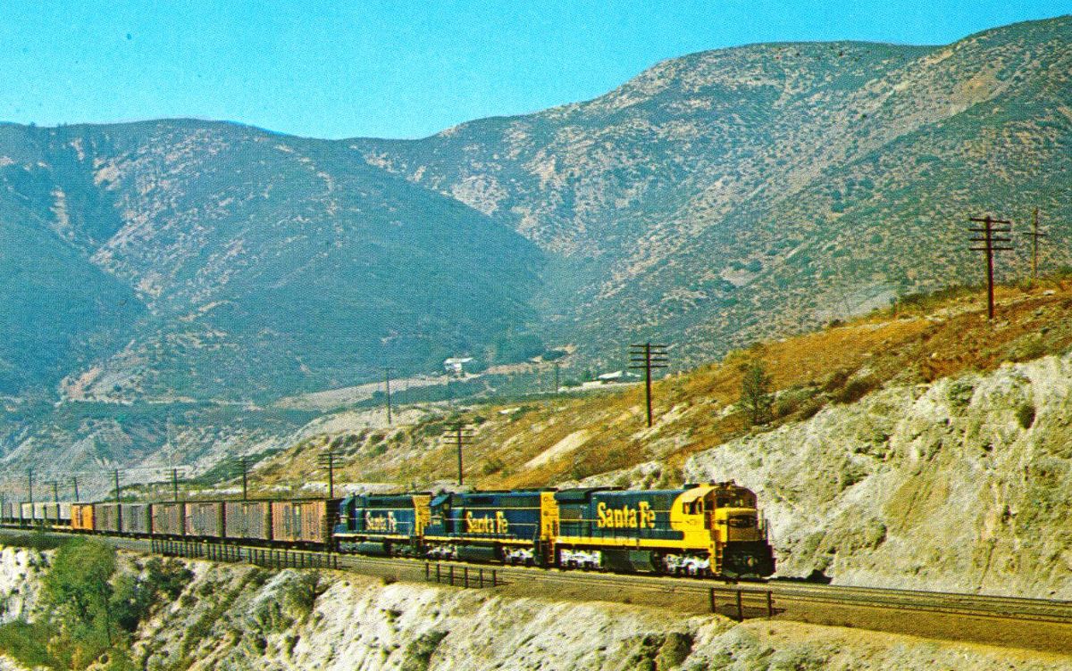 CAC22300.jpg