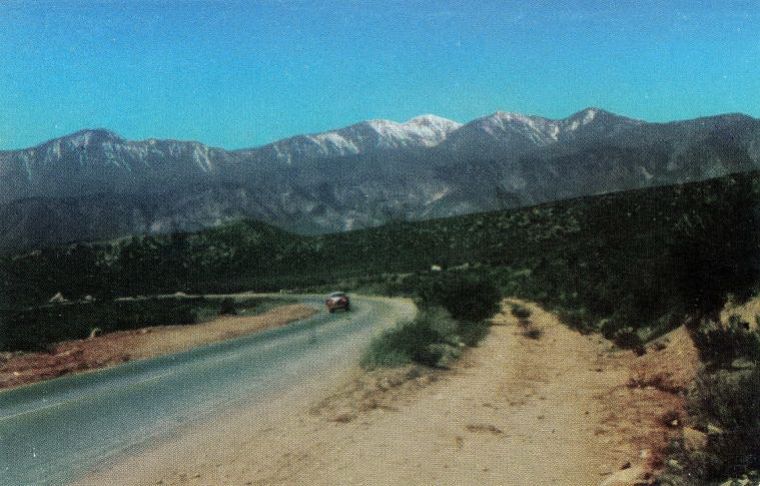 CAC22750.jpg