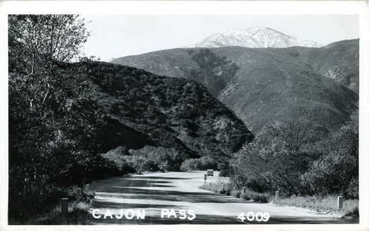 CAC23750.jpg