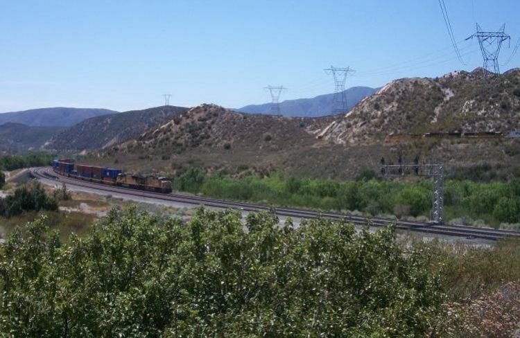 CAC27750.jpg