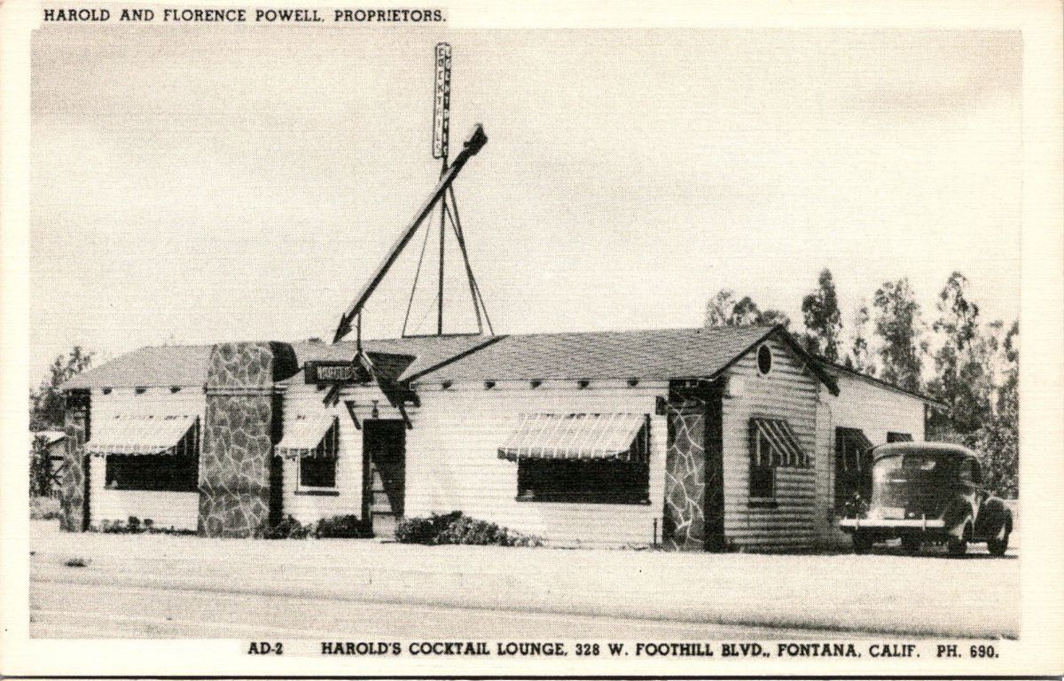 CAC53270.jpg