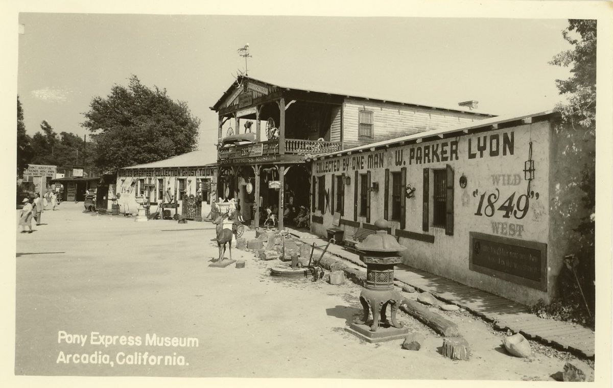 CAF17250.jpg