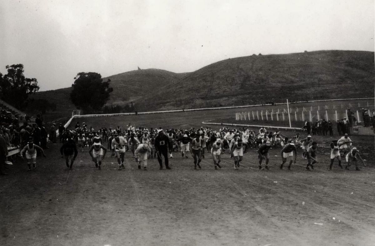 CAF68750.jpg