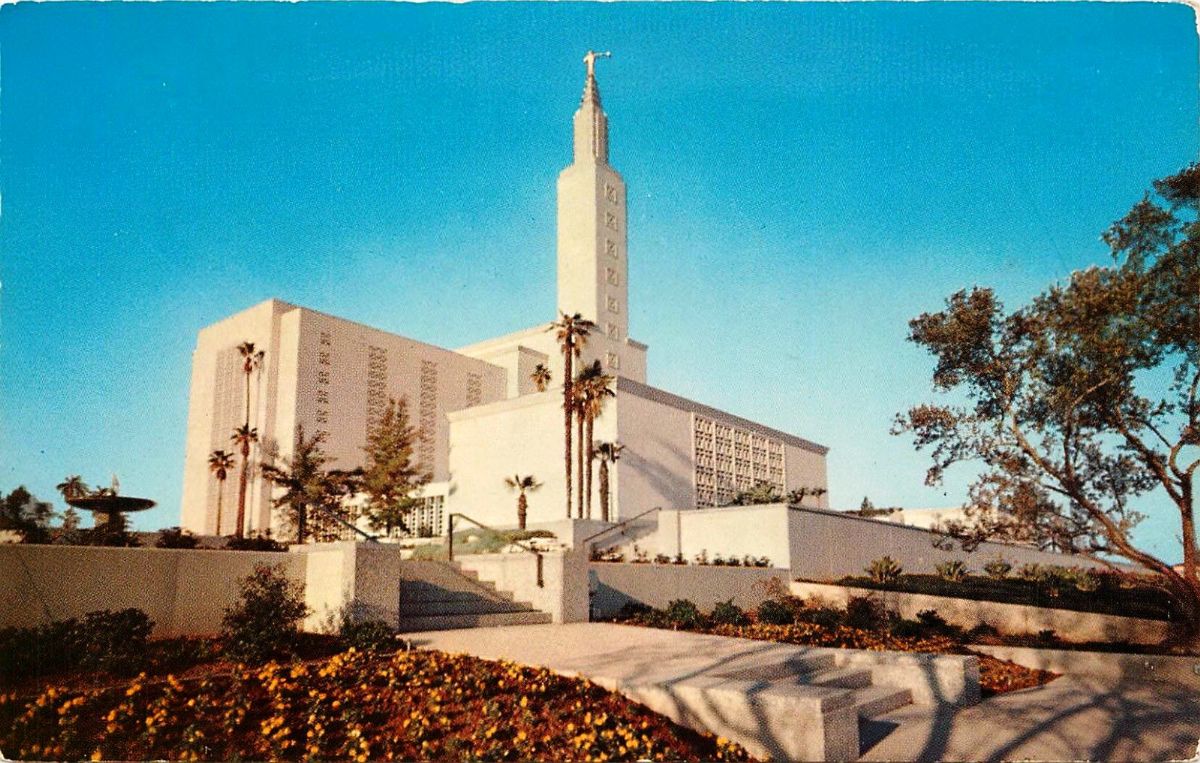 CAF84250.jpg