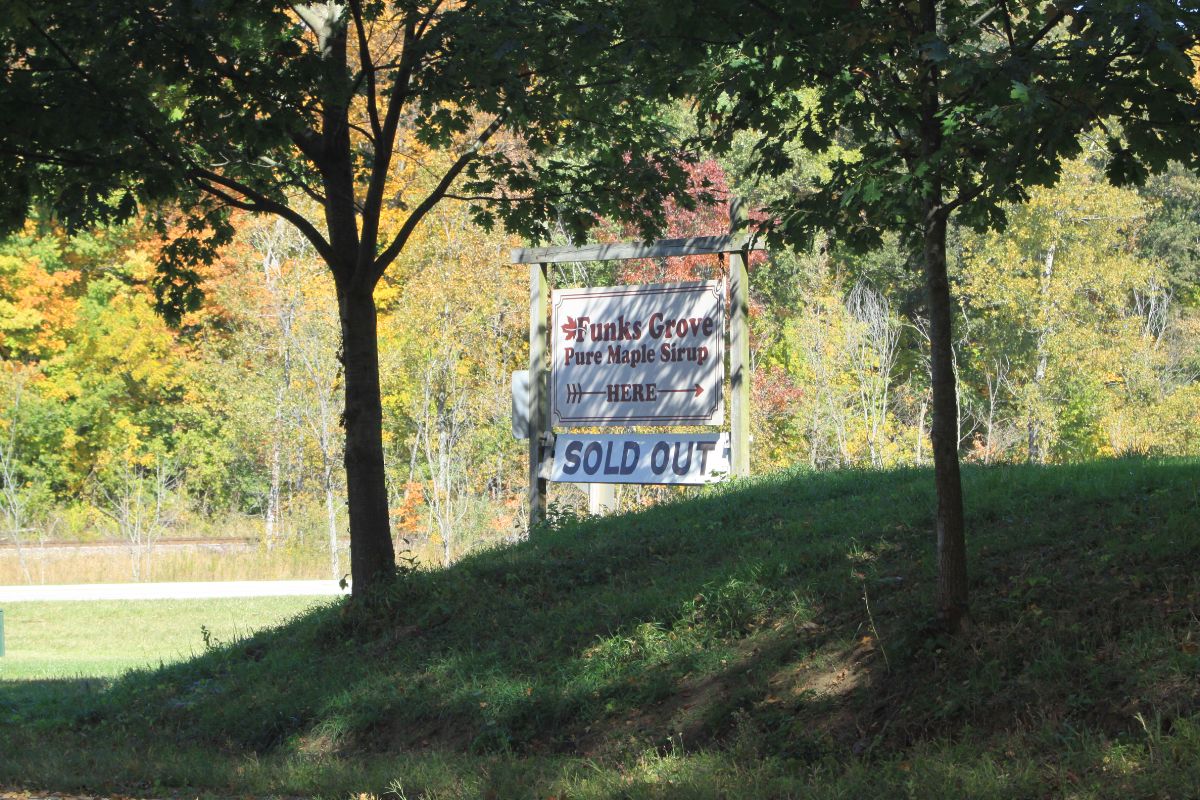 IL039245.jpg