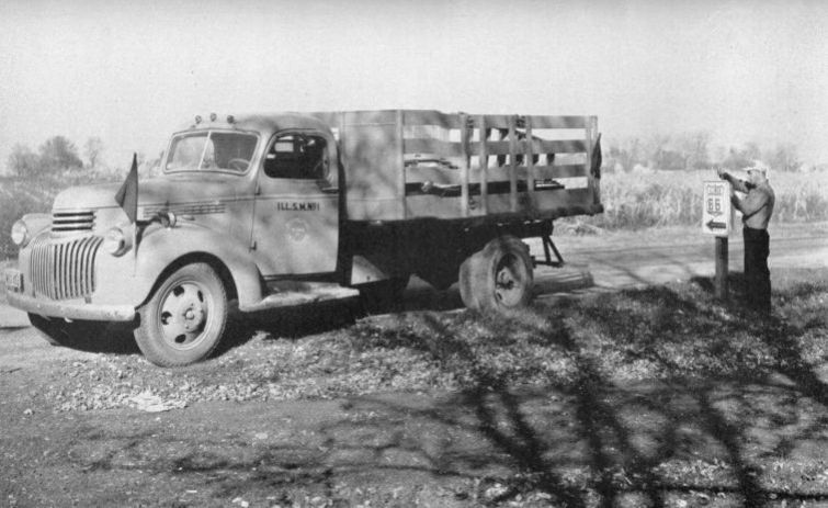 IL046900.jpg