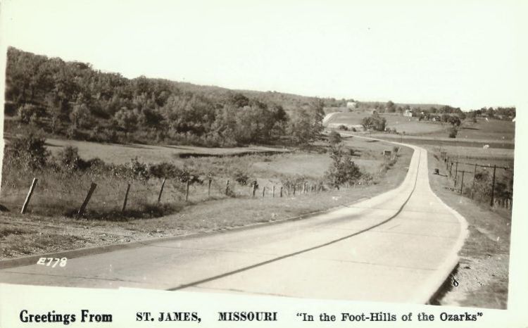 MOJ74500.jpg
