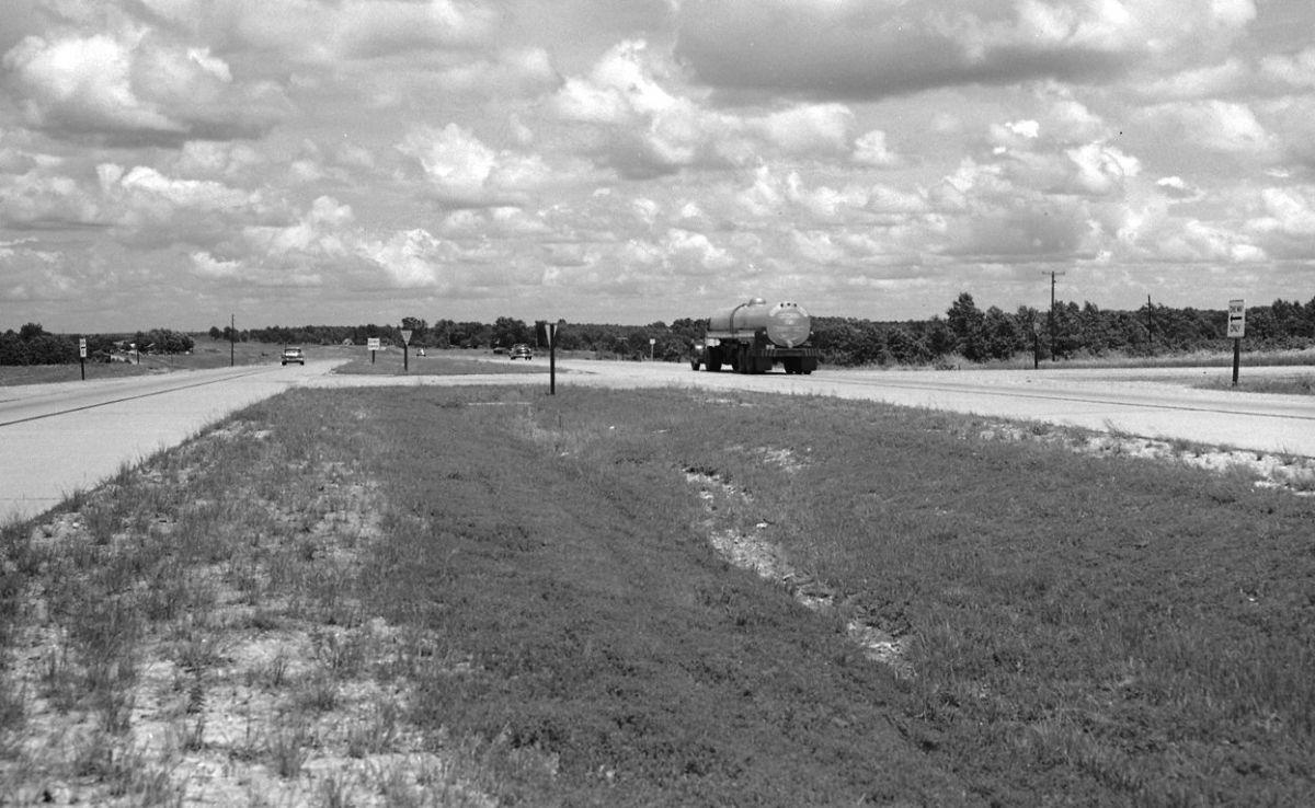MOR08050.jpg