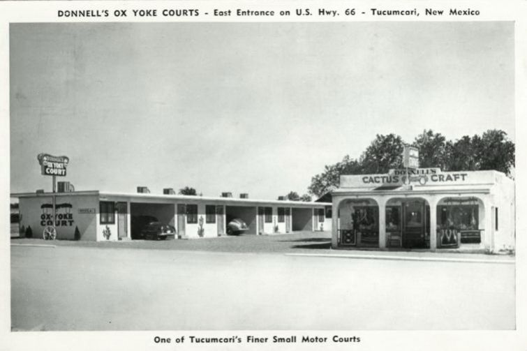 NM006675.jpg
