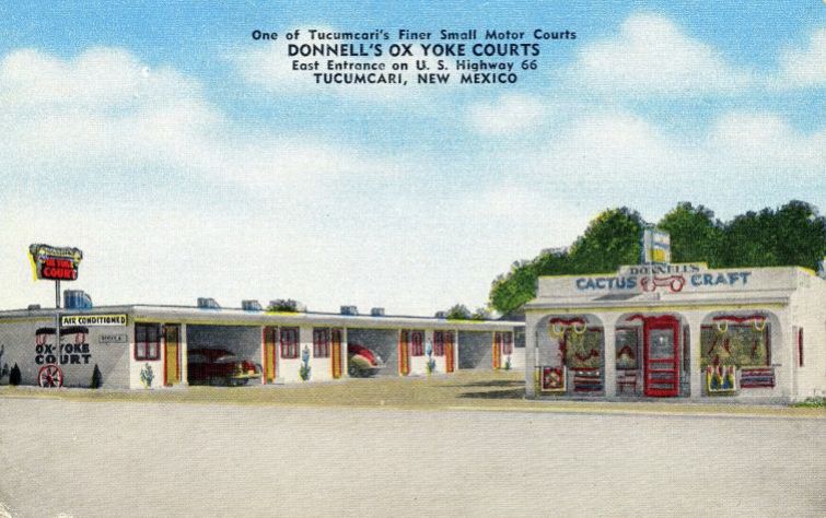 NM006750.jpg