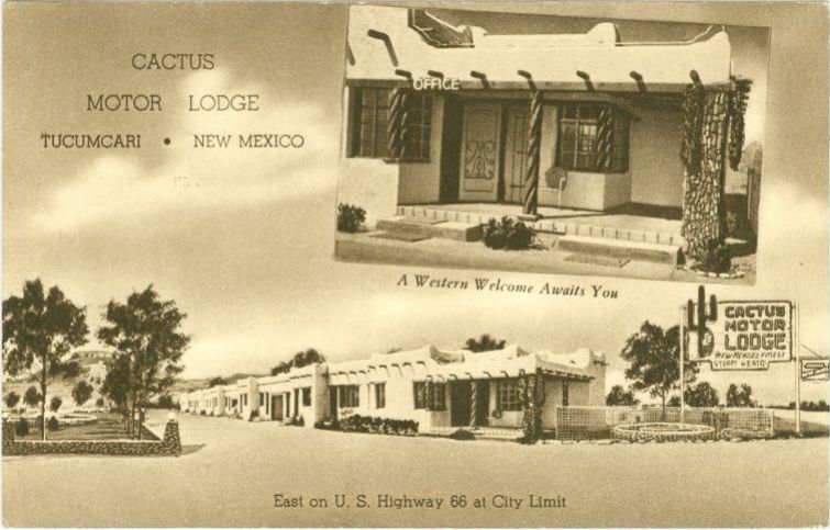 NM008675.jpg
