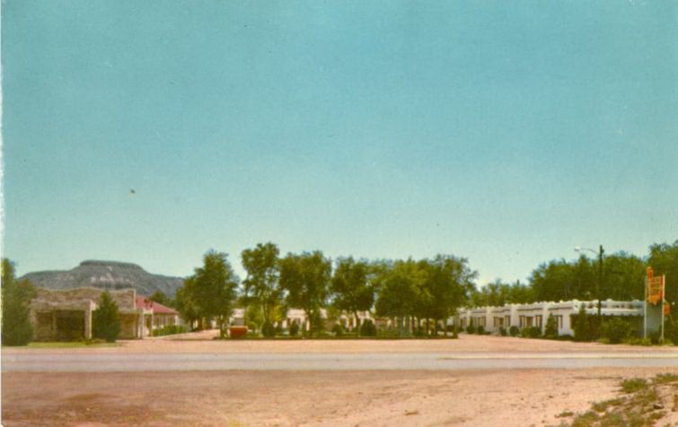 NM008750.jpg