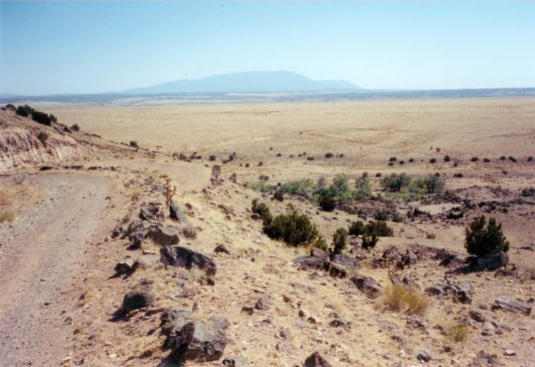 NM029525.jpg