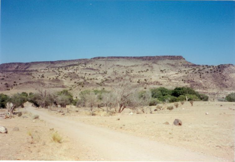 NM029600.jpg