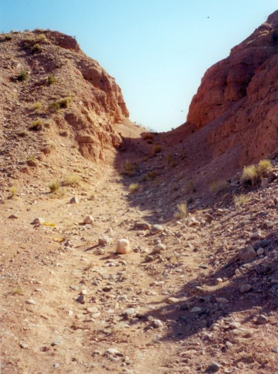 NM030150.jpg