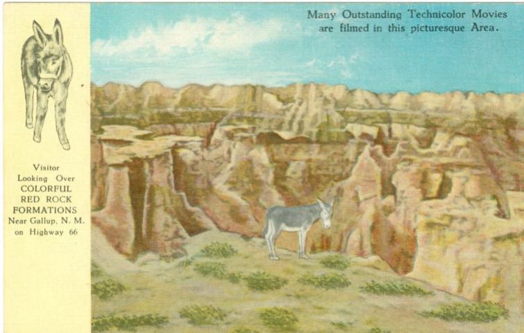 NM099525.jpg