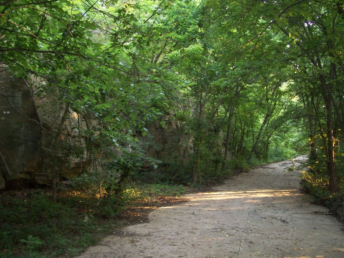 OK023200.jpg