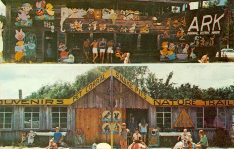 OK023700.jpg