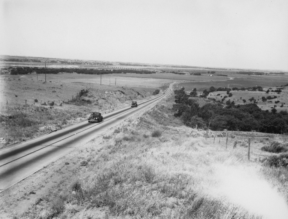 OK077300.jpg