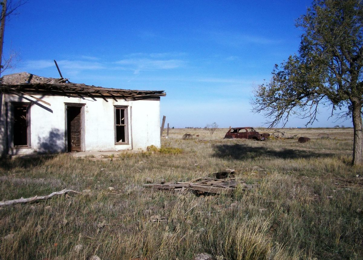 TX017302.jpg