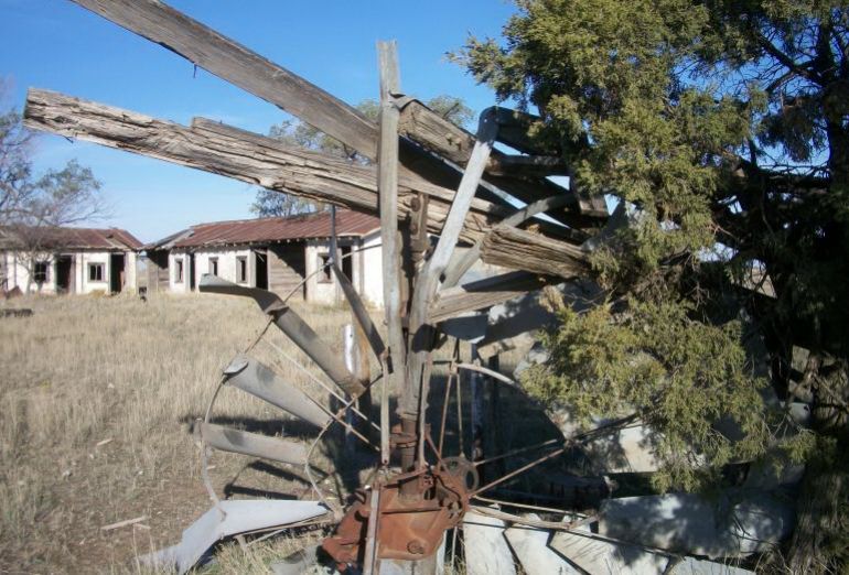 TX017304.jpg