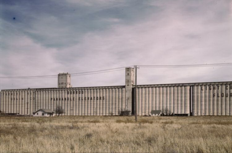 TX025305.jpg