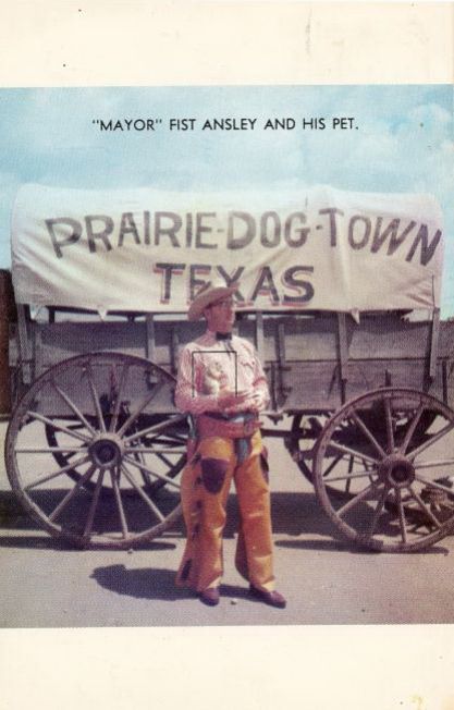 TX028900.jpg