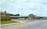 TX005600.jpg
