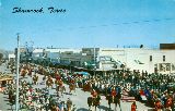 TX007315.jpg